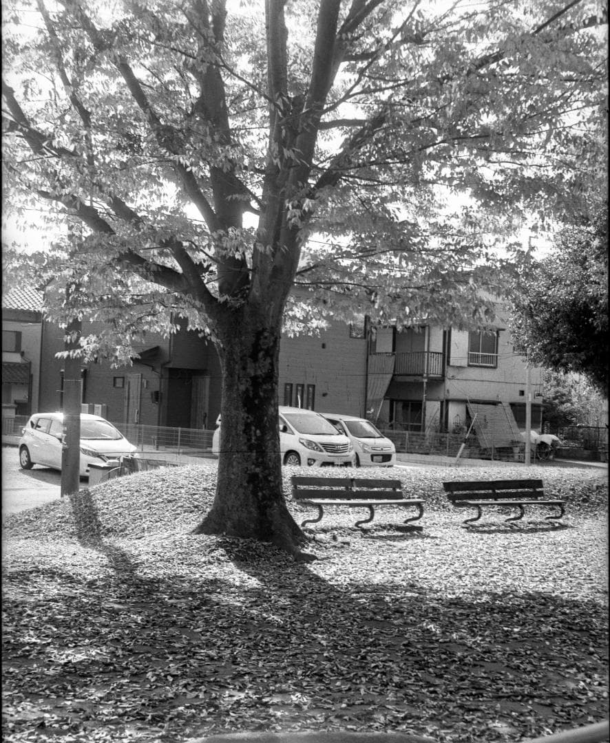 ＜作例あり＞MAMIYA6　マミヤ　蛇腹　sekor セコール　K-Ⅱ