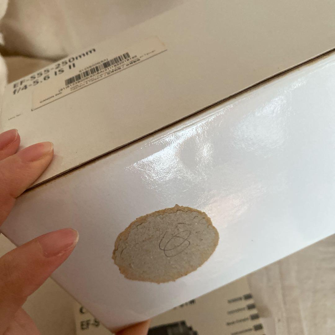 Canon キャノン ダブルレンズ　s18-55 s55-250フード付