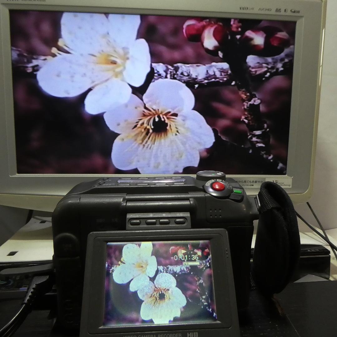 動作良好ソニー CCD-SC55 Video.Hi8デジタルビデオカメラDVD化