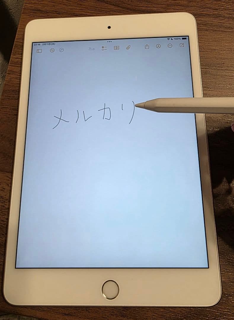 iPad mini(第５世代) Wi-Fi256GBシルバー　　 非純正ペン付き