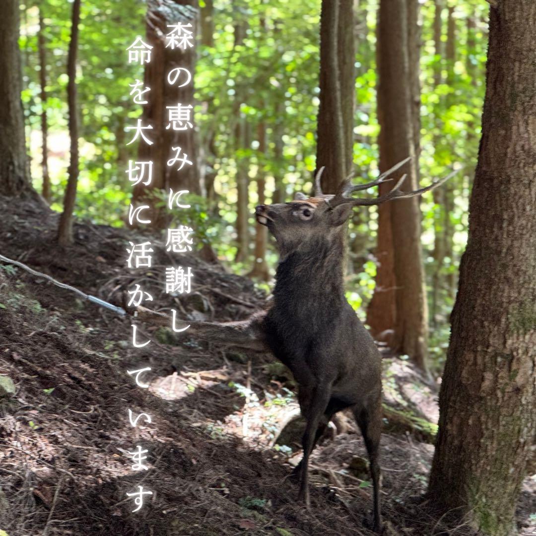 お得用‼️1000g 鹿あばらジャーキー 中小型犬向けサイズ　鹿肉ジャーキー