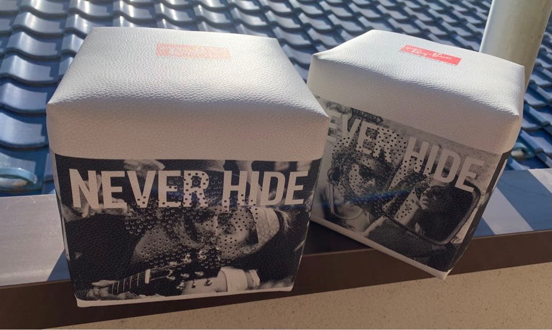 スピーカー レイバン Ray-Ban×audel 非売品