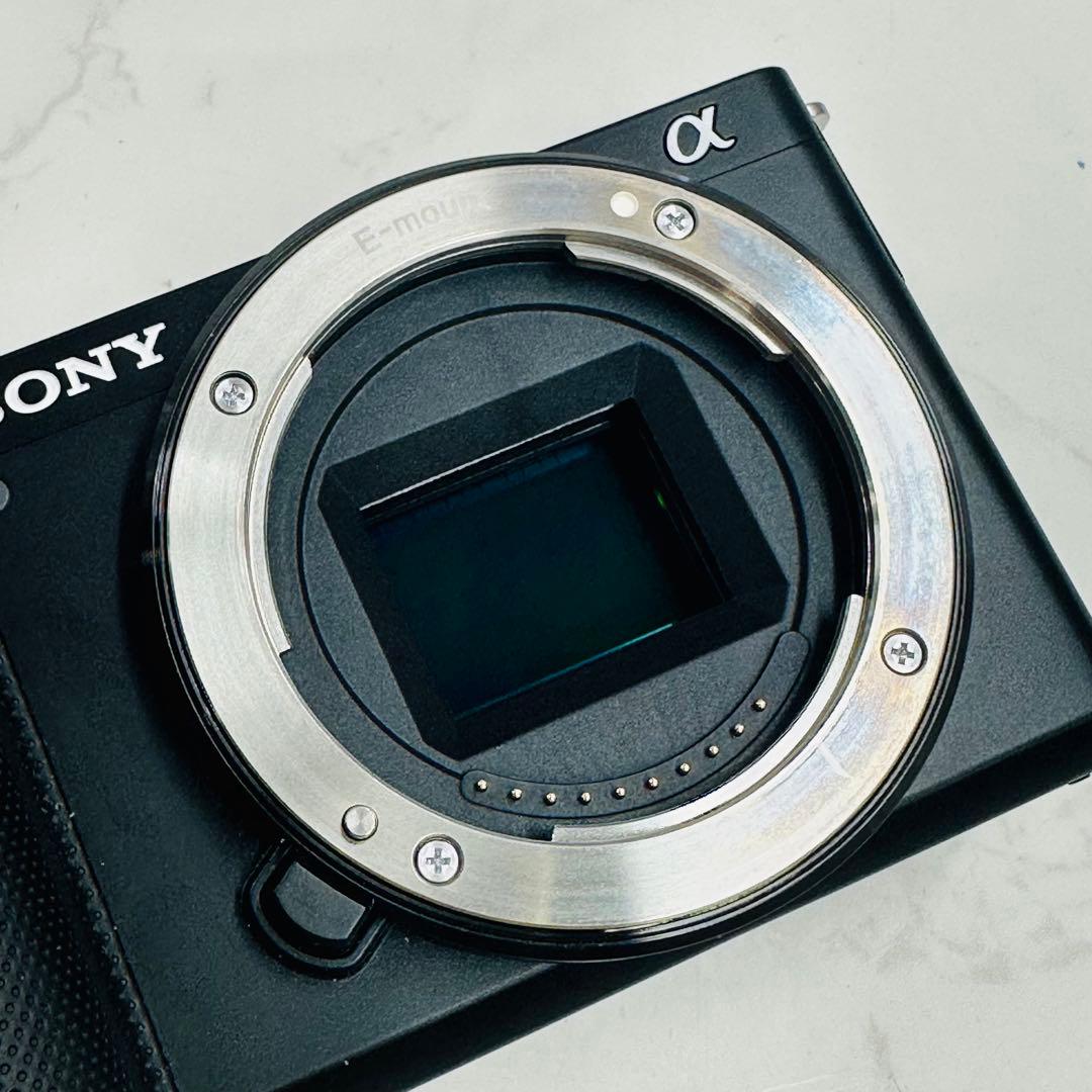SONY ソニー ZV-E10 ボディ ミラーレス一眼カメラ ショット数179枚