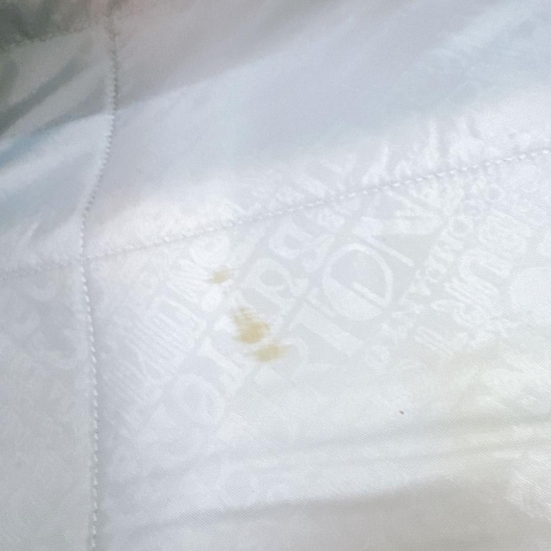 BURTON バートン　キャリーバッグ　大容量