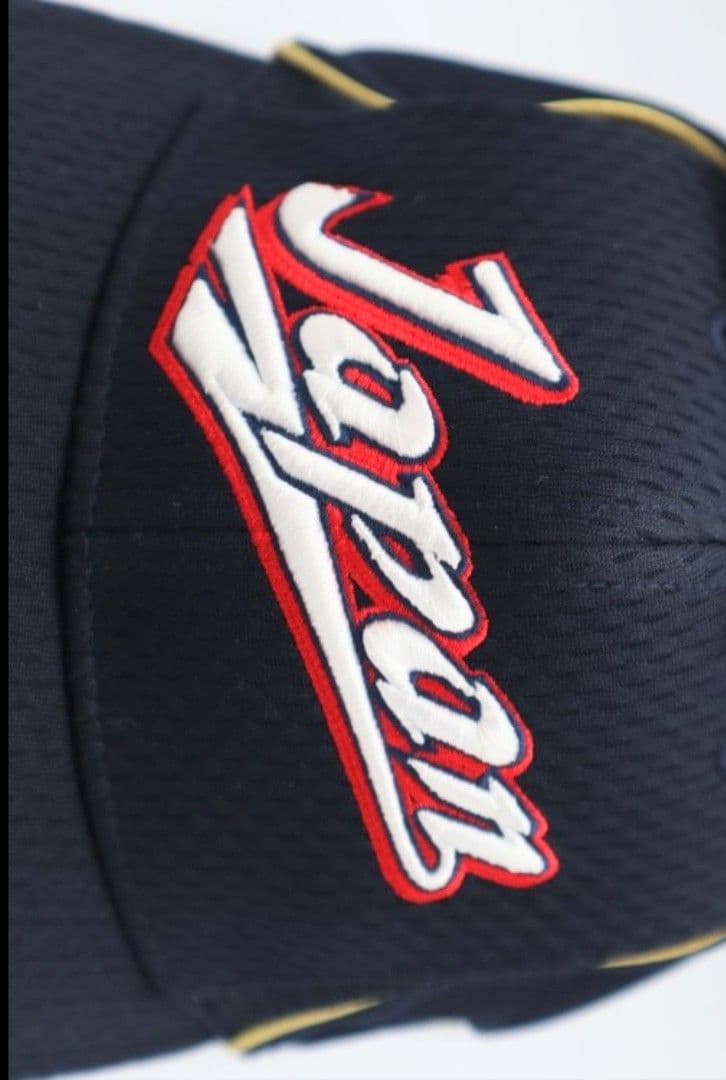 JAPAN プロコレクション MIZUNOPRO ジャパン 日本代表 ミズノプロ