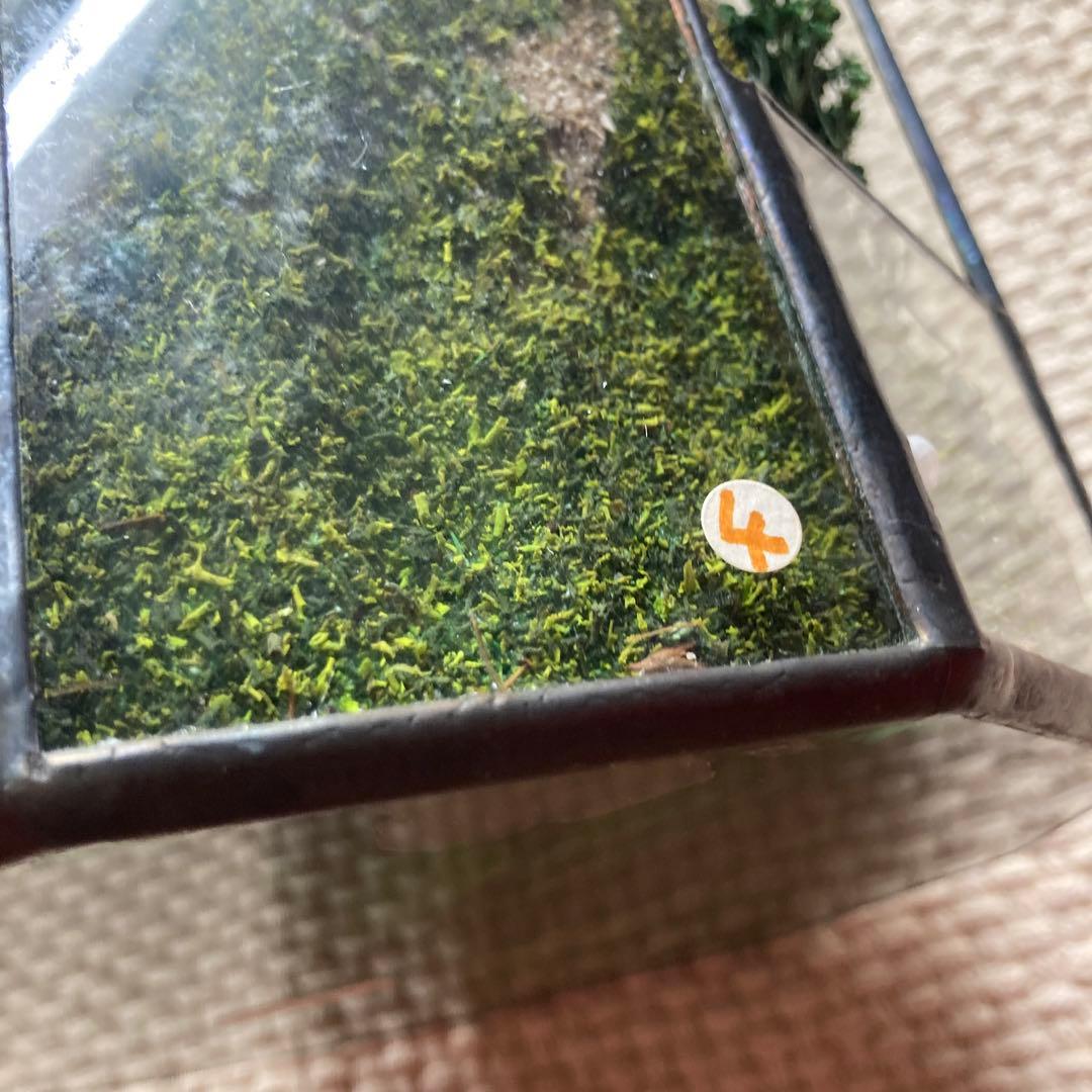 未使用　ゴーハウス　gaulthouse