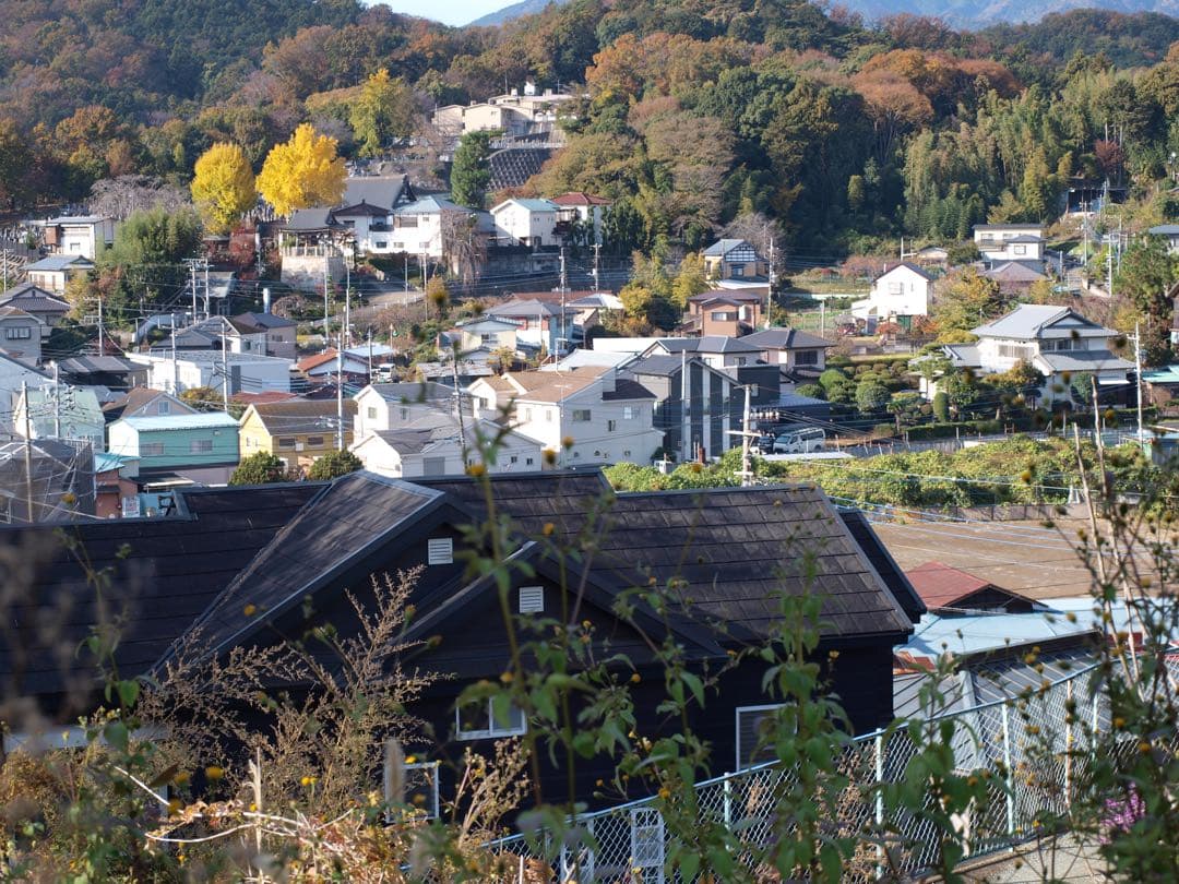 OLYMPUS E-520 ダブルズームキット