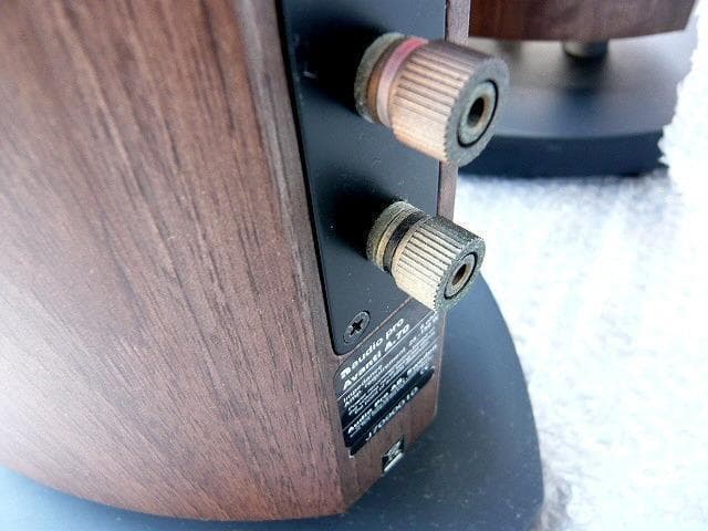 AUDIO PRO AVANTI A.70 オーディオプロ　アヴァンティ 高級