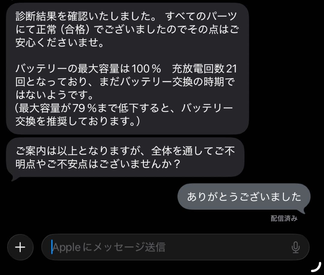 iPad Pro 11インチ　第四世代　M2 最大容量100%