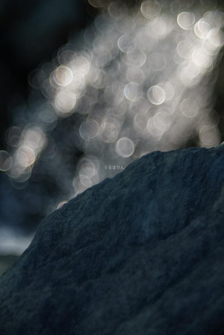 バブルボケ！Meyer TRIOPLAN 100mm F2.8 オールドレンズ