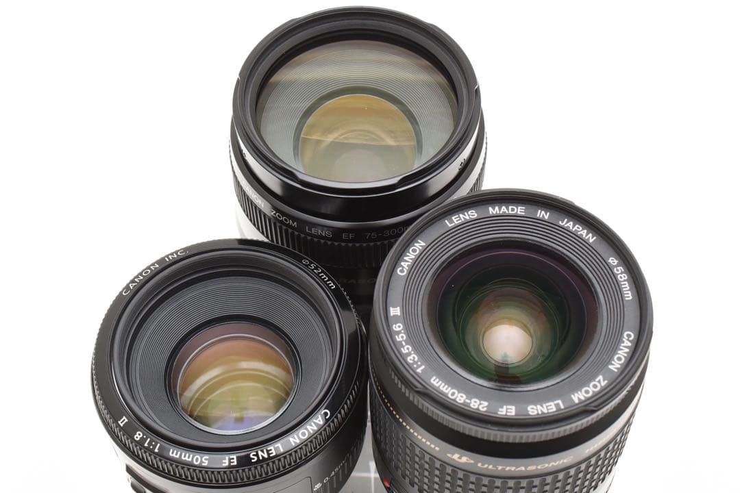 Canon EOS 6D mark II 標準&望遠&単焦点トリプルレンズセット