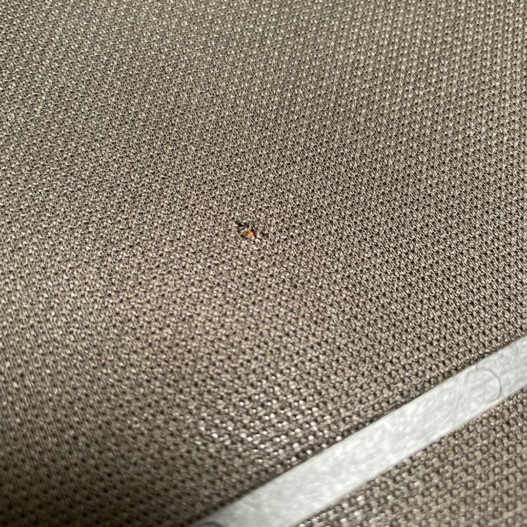 ONKYO≪LIMITED EDITION≫ D-202AⅡ LTD スピーカー