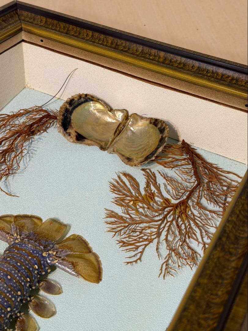 伊勢海老　置物　縁起物　海老