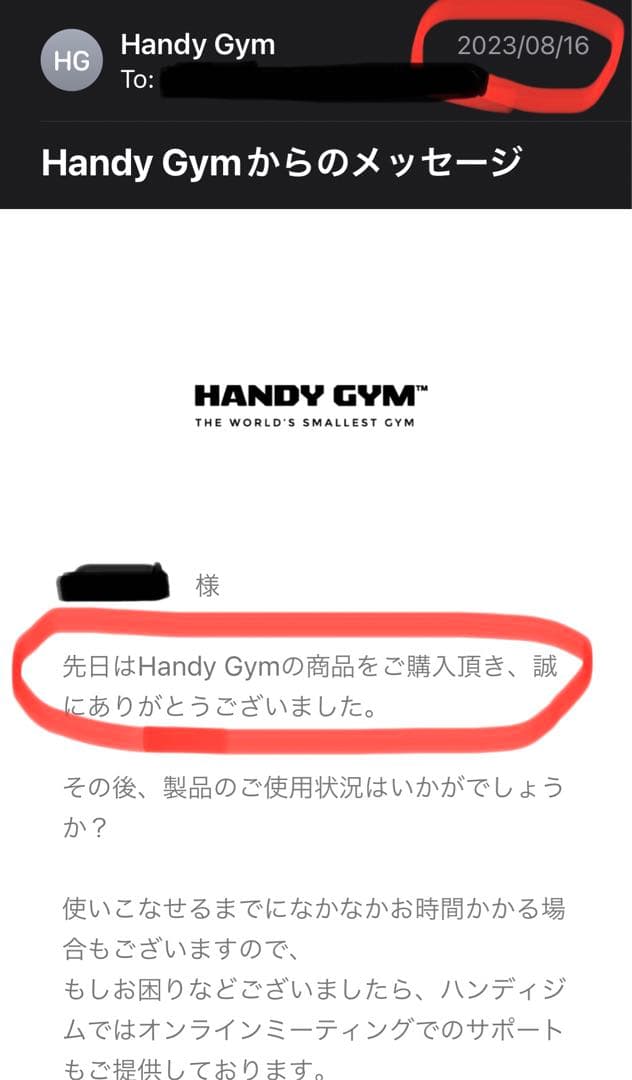 【美品】Handy Gym Proモデル｜定価198,000円