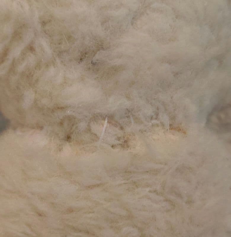 ビンテージ ホワイトベア 30cm