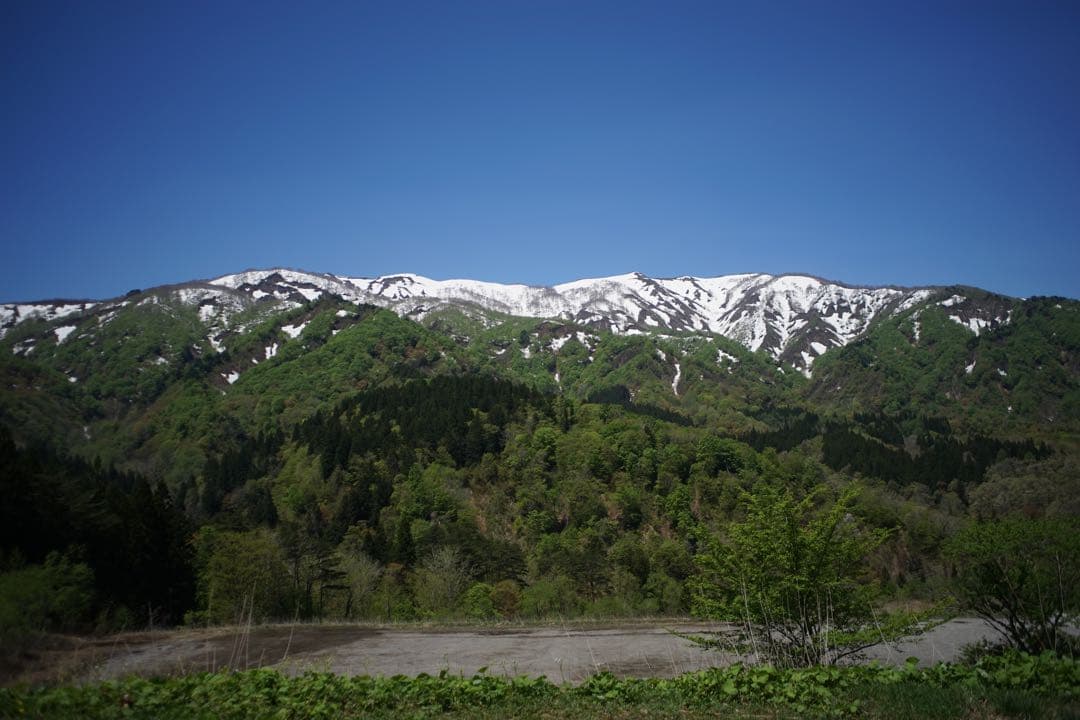 作例付き　Konica HEXANON 28mm F3.5 管mpr