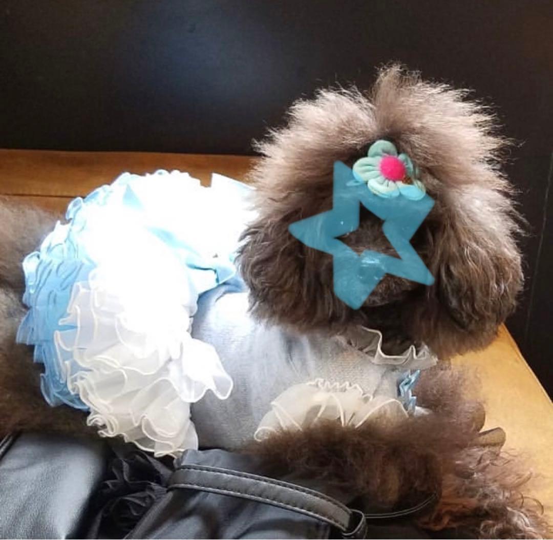 新品 bullbubuブルブブ チュールドレス ワンピース検索リュクスバーディ