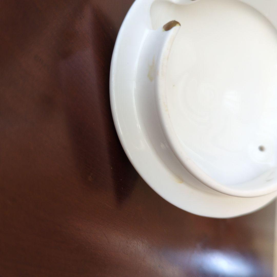 シェリー＊SHELLY＊ワイルドフラワー＊２人用ポット＊おまけつき