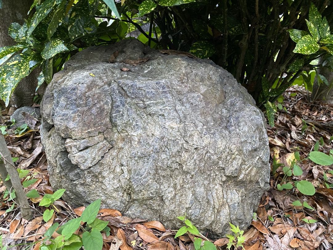 庭石 灰色 約75×80×45㎝ 自然石【石川県引き取り限定】まとめ割