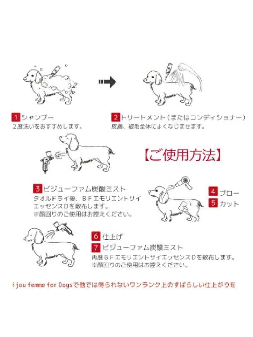 ビジューファムフォードッグス　bijou femme for Dogs