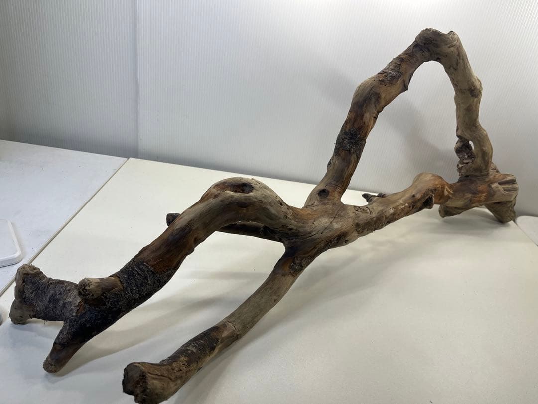 k36特大流木 アク抜き済み 爬虫類シェルター レイアウト用 登り木 インテリア