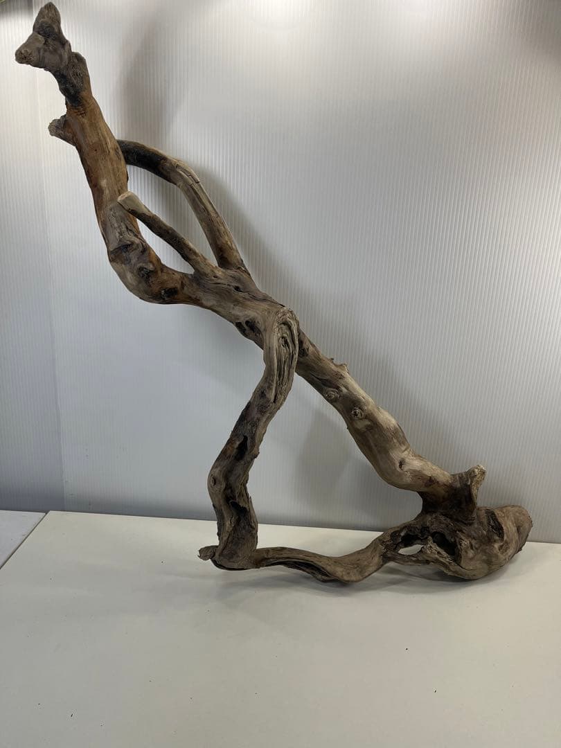 k36特大流木 アク抜き済み 爬虫類シェルター レイアウト用 登り木 インテリア