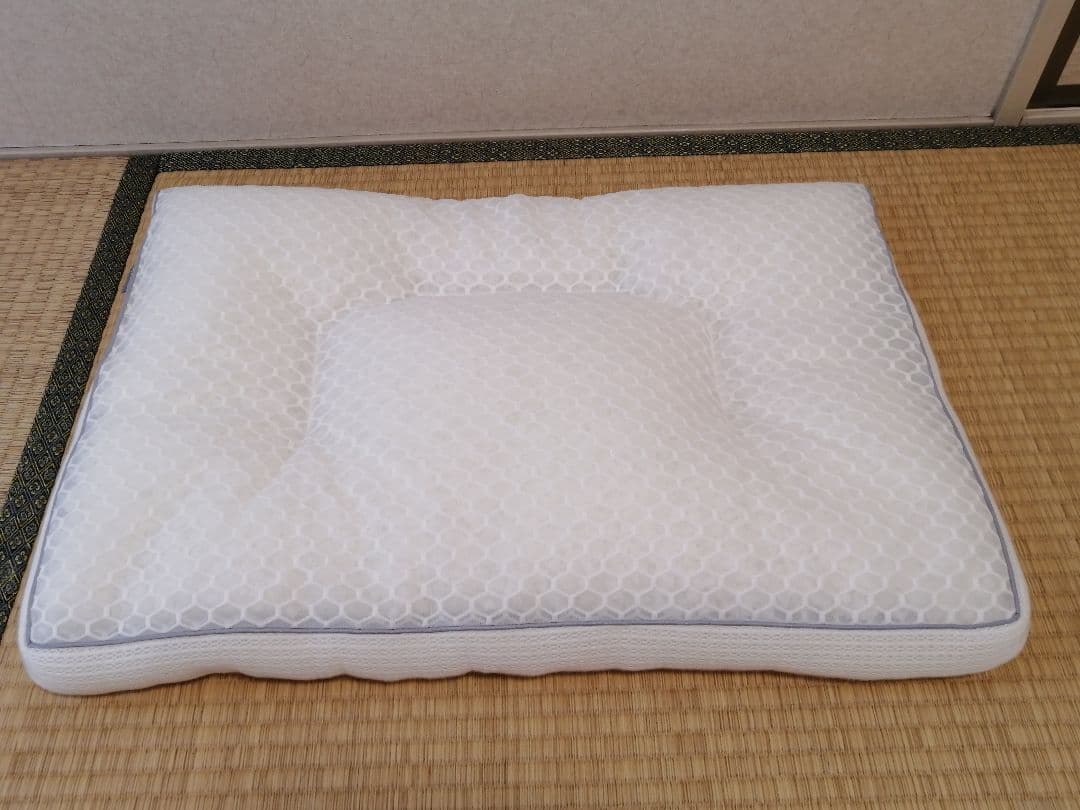 エスメラルダ　呼吸するわたしの枕