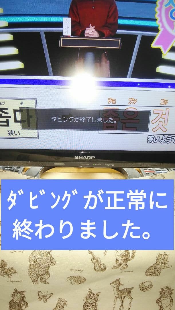 2021年モデルシャープ2B-C10DW1/二番組同録・4K再生可/実動/純リモ