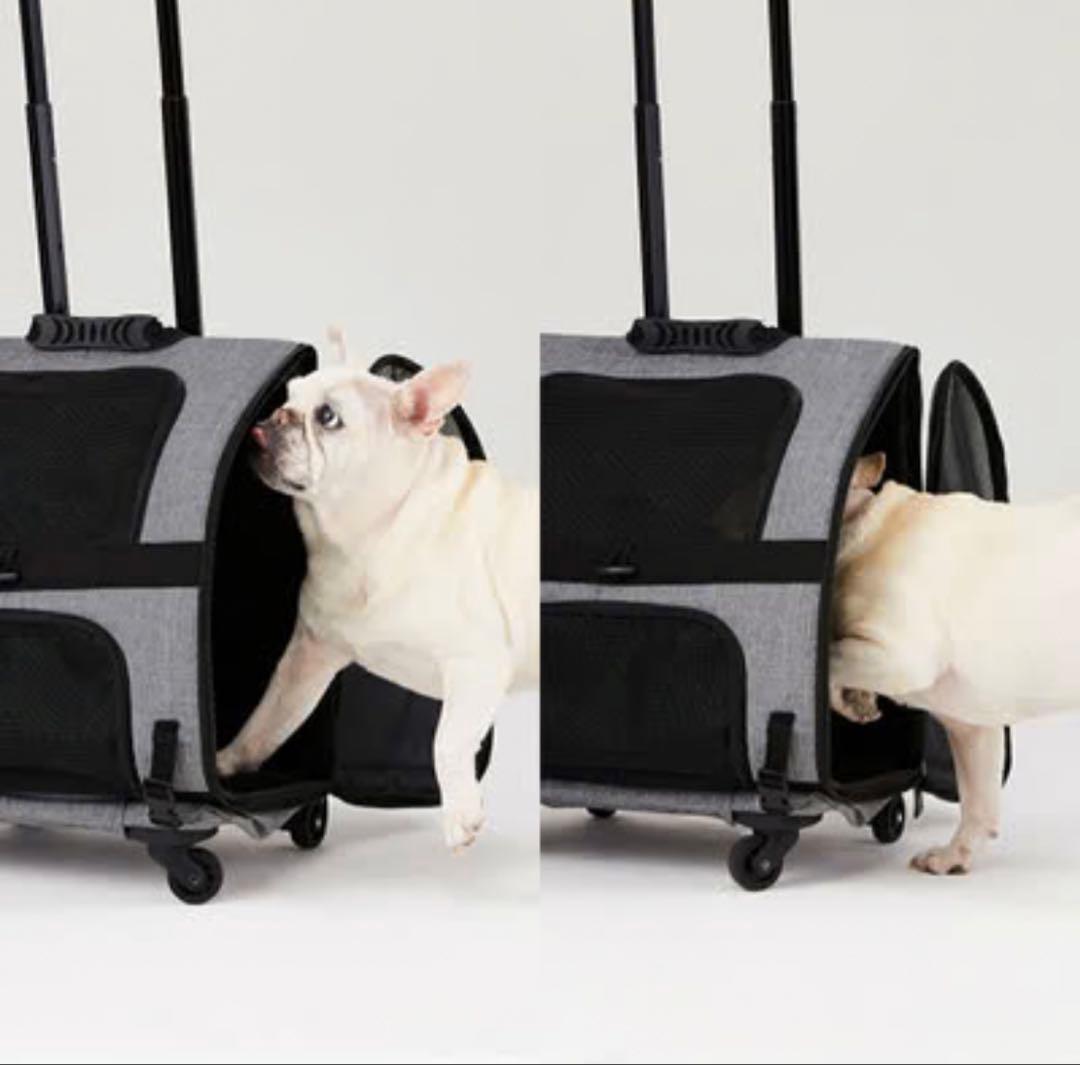 AIRBUGGY キャリーバッグ グレー