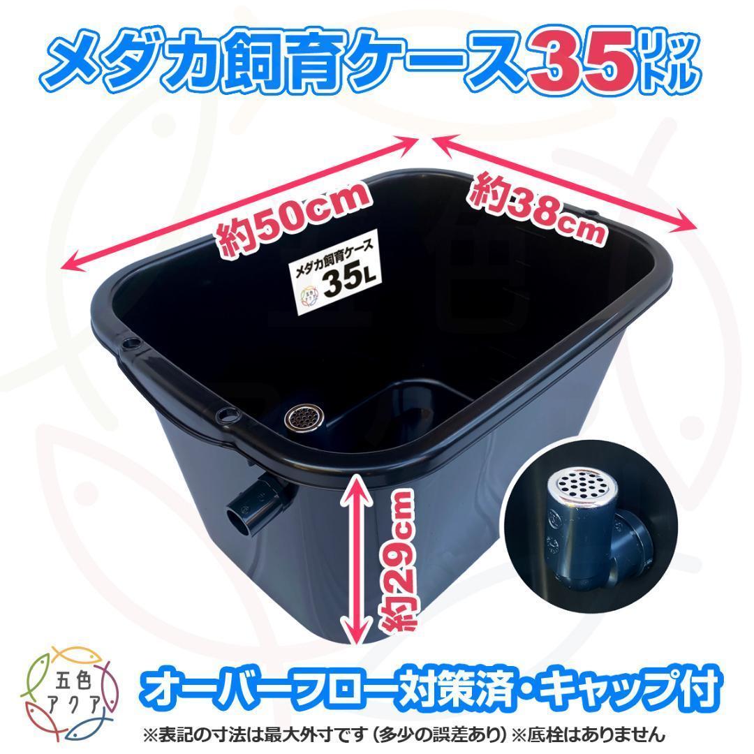 メダカ飼育ケース 35㍑黒x4個 オーバーフロー 金魚飼育容器 メダカ飼育容器