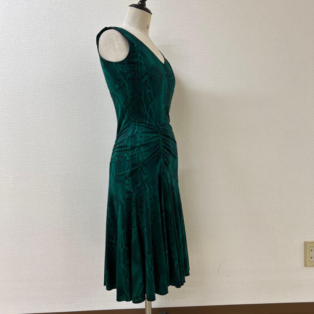 チャコット社交ダンスラテンワンピース緑ヘビ柄