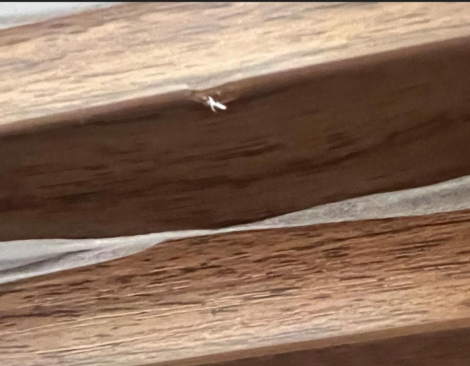 87 VENTOTA　ベッドフレーム Ekuldo-L（エクルド-L）ダブル