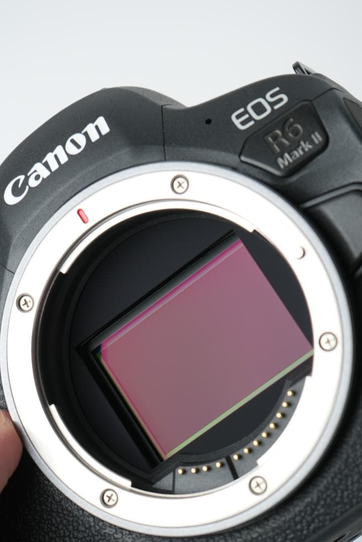 【ほぼ新品】【606回】Canon キヤノン EOS R6 MarkII ボディ