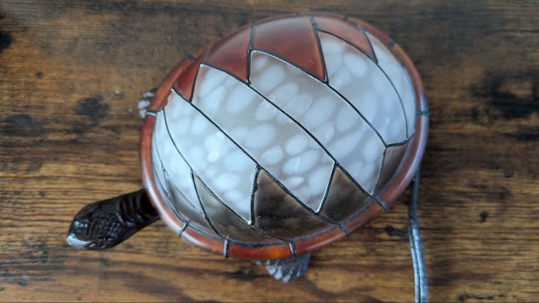 グレイトフルデッド　タートルライト