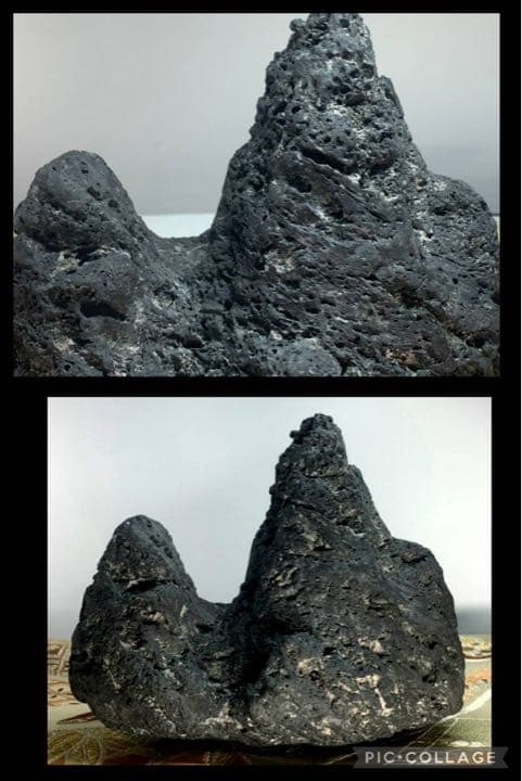 3933 加茂川巣立石 平成与十郎石 桐箱付き 有沢一幸氏作