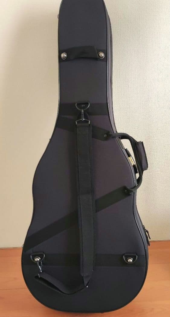 【限定特価】アストリアス ソロ ヘリンボーン セミハードケース+弦2セット