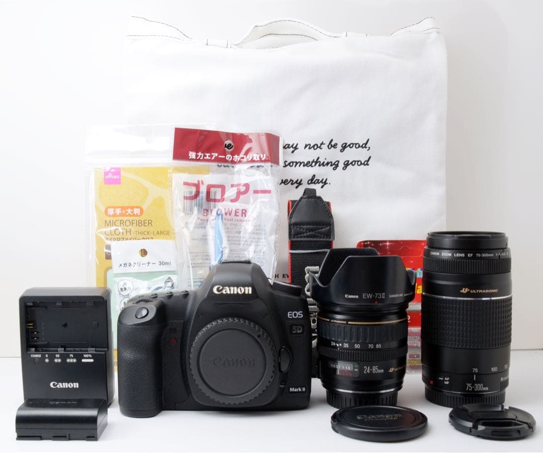 人気フルサイズ機！Canon EOS 5D Mark Ⅱ★超望遠付き★転送OK