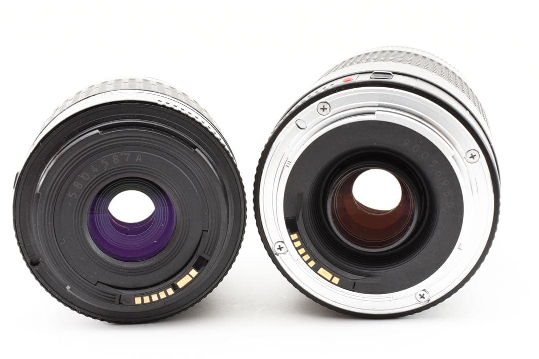 Wi-Fi/動画/Canon EOS 9000D標準&望遠&ダブルレンズセット