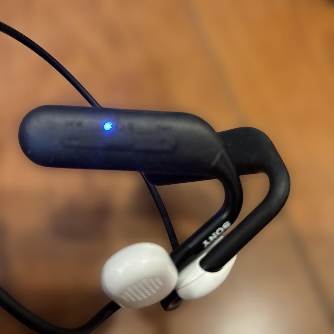 ソニー(SONY) ワイヤレスイヤホン WI-OE610