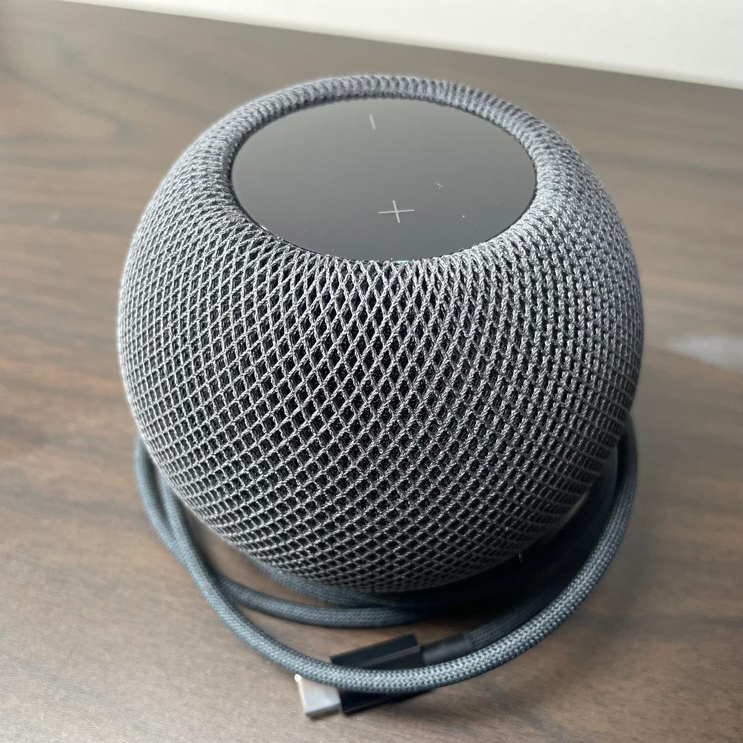 Apple Pod mini ブラック A2374 MY5G2J/A