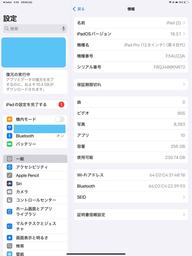 iPad Pro 第4世代　256GB(12.9インチ)