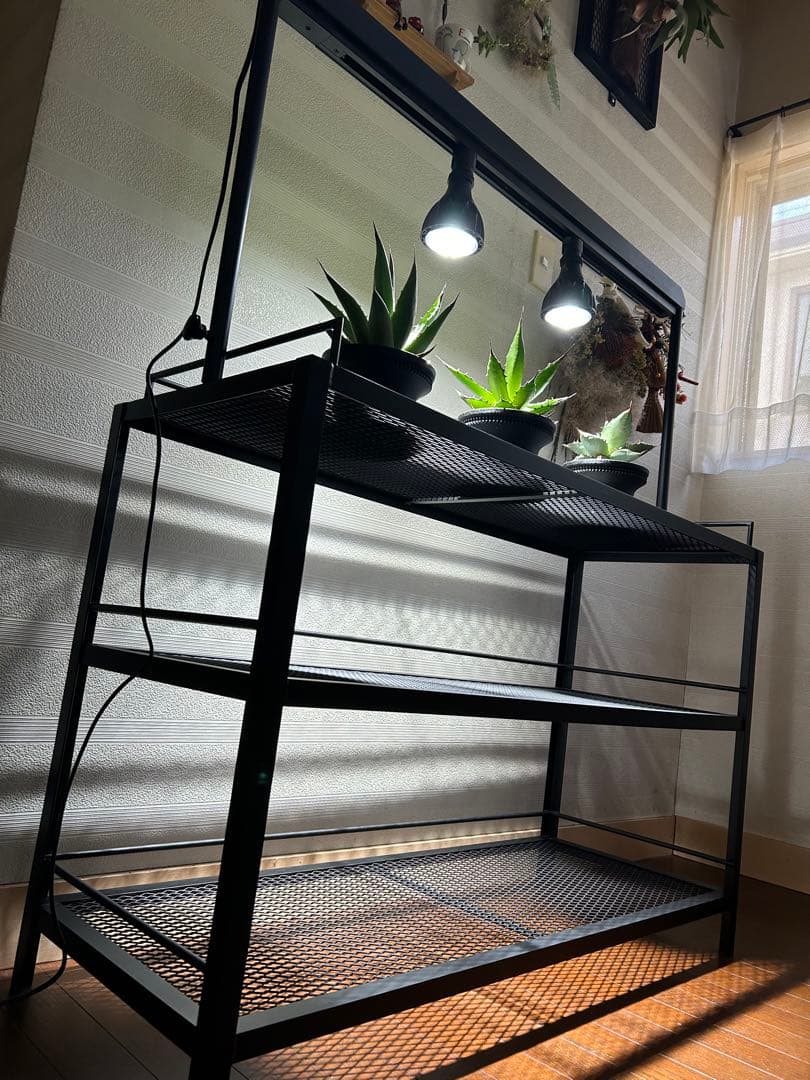 ☆送料込み☆アイアン植物棚　即購入OK ライトレール付　ボタニカル　アガベ