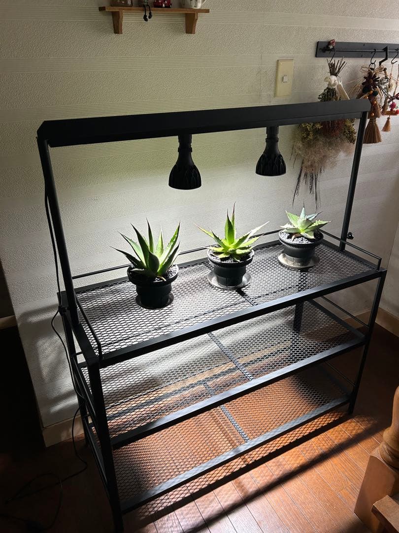 ☆送料込み☆アイアン植物棚　即購入OK ライトレール付　ボタニカル　アガベ