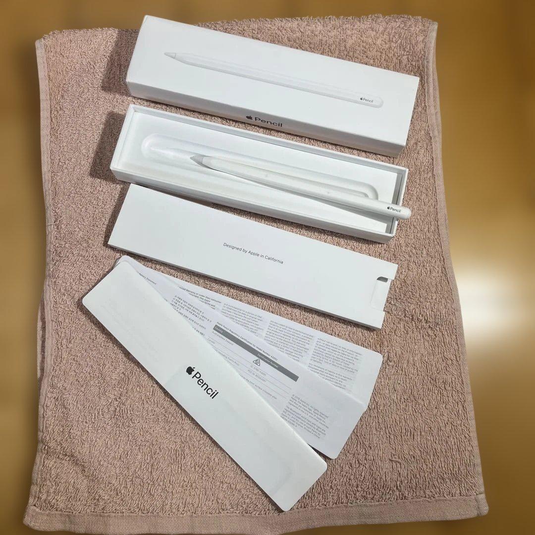 Apple iPad Pro11インチ第一世代シルバー512gb おまけ付き