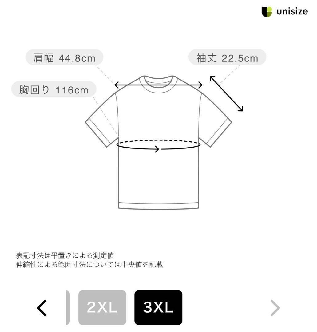 新品★ミズノ2025国スポ限定ポロシャツ限定デザイン国民スポーツ大会国体3XL