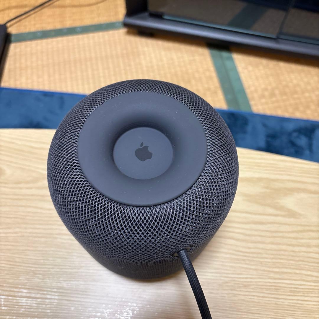 スピーカー・ウーファー Apple Pod black