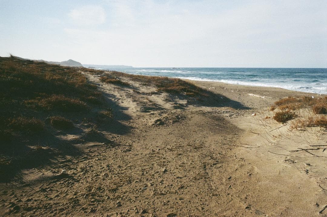 作例あり★フイルム実写OK!／ペンタックスSP＋レンズSuper-Takumar