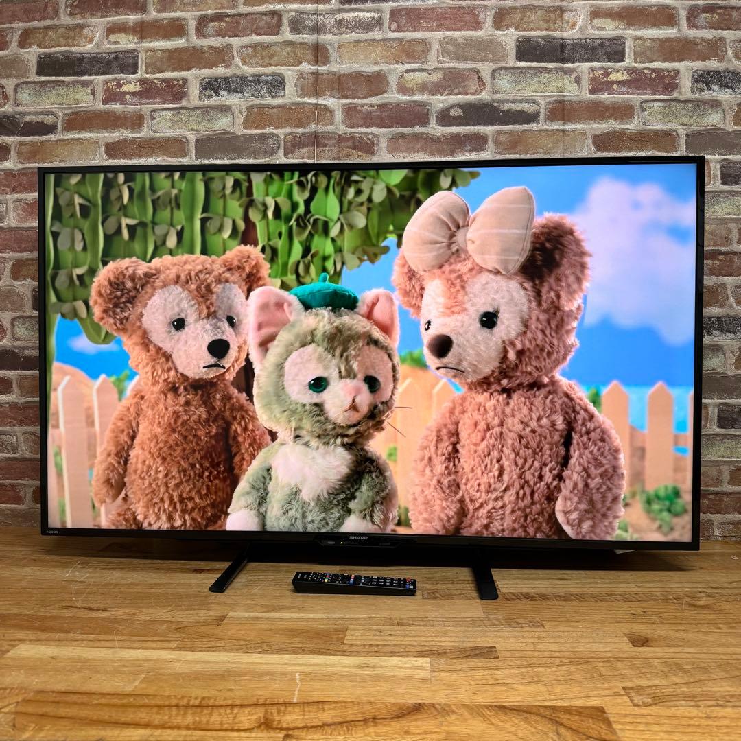 シャープ 50V型 4Kチューナー 液晶テレビ AQUOS 4T-C50BH1