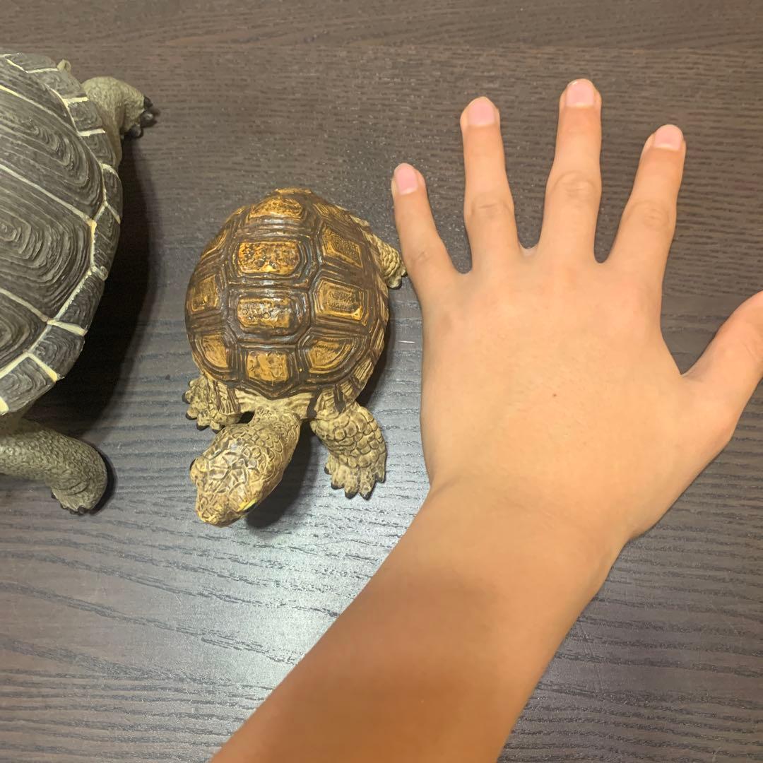 装飾用亀 大小2匹セット