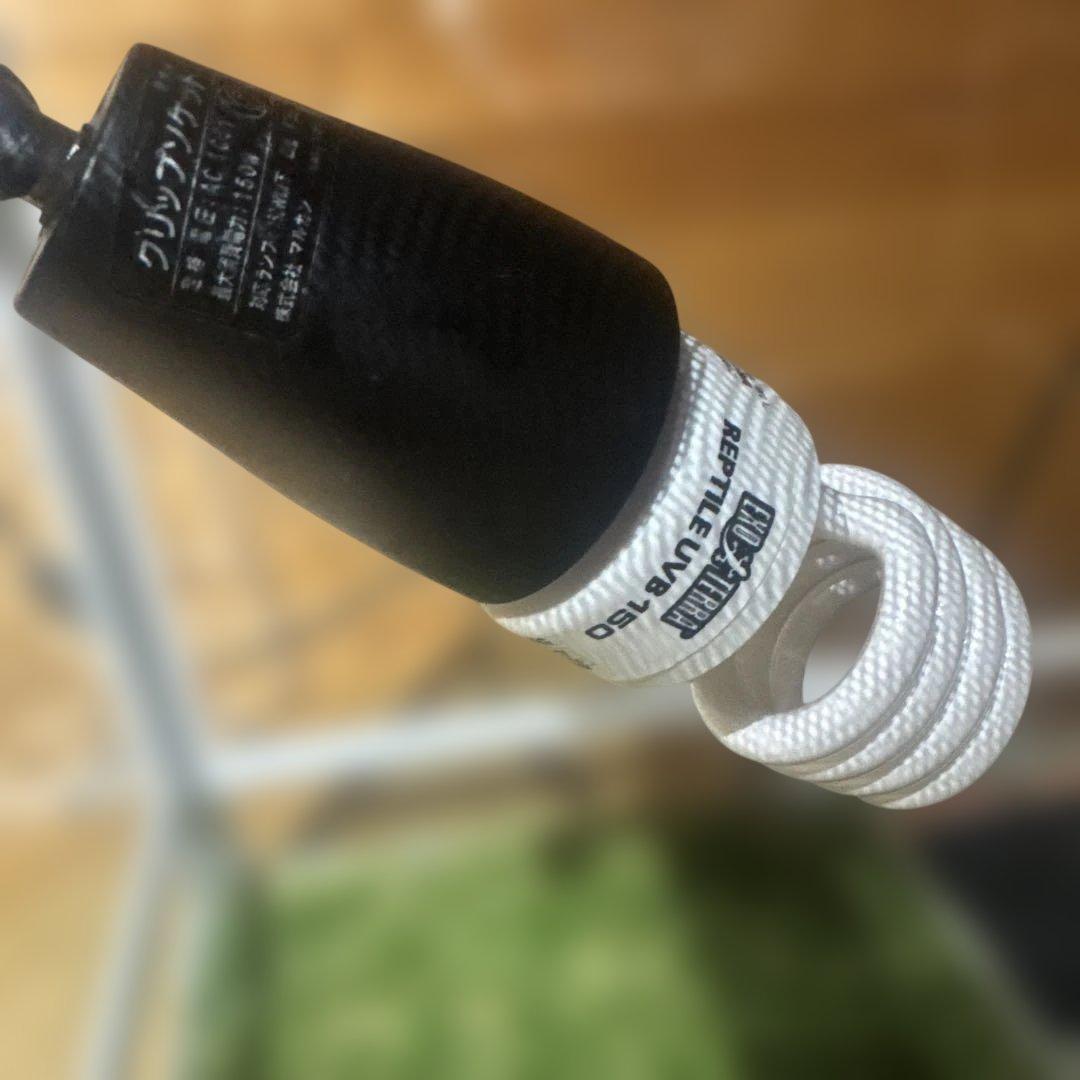 パンテオン6045 他飼育セット